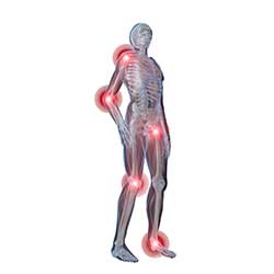 excess inflammation in the body