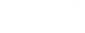 DSWI Logo